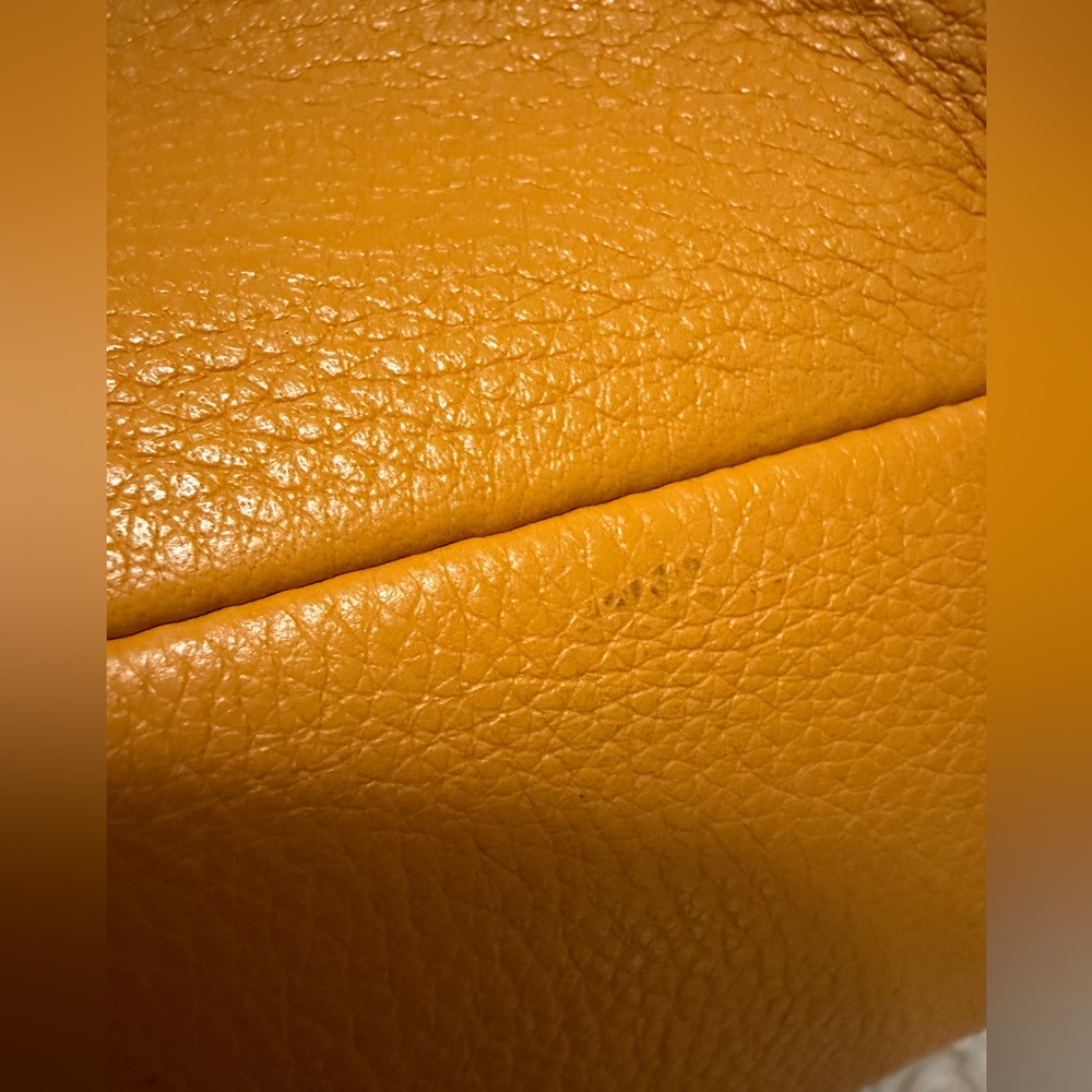 Upcrafted Coach black cat Pheobe Orange - Picture 12 of 15